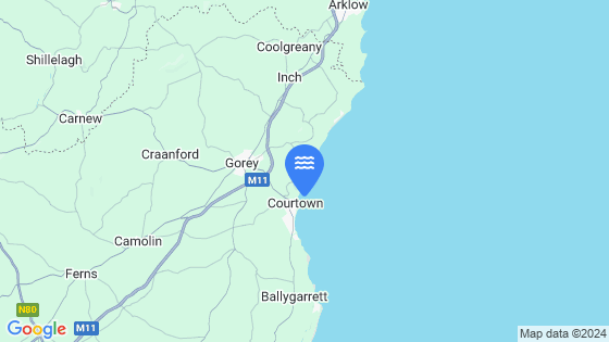 Courtown Tide Location Pin on Map